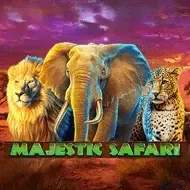 Majestic Safari